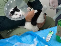-达爱动物医院·犬猫分区·CT·复杂眼科(远洋山水分院)