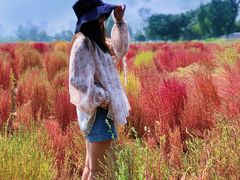 -汉长安城未央宫国家考古遗址公园