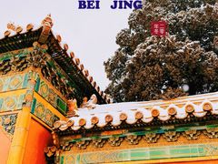 -故宫博物院(故宫)