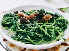 -顺德美食坊(南沙分店)