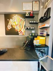 -G.O.T salon