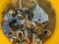 -北海金海湾红树林生态旅游区