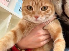 -猫的天空之城概念书店(苏州平江店)