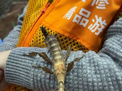 -上海大自然野生昆虫馆(东方明珠·爬宠昆虫探索中心)