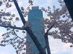 -静安雕塑公园