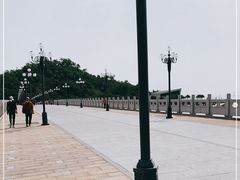-野狸岛