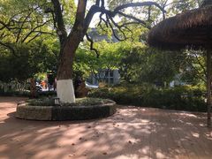 -浙江宾馆·花园餐厅·自助餐厅·茶吧