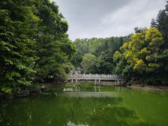 -深圳国际园林花卉博览园