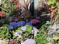 -常熟路(地铁站)