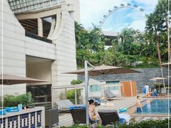 -新加坡丽思卡尔顿美年酒店
