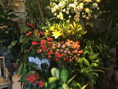 -春暖花开(西溪店)