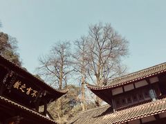 -青城山