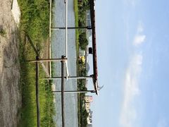 -粮心小农·大头虾亲子生态园(长发店)