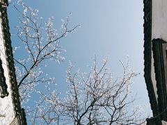 -老张烤羊(王哥庄店)