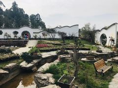 -都江堰玫瑰花溪谷