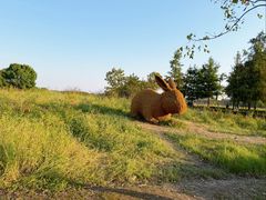 -嘉北郊野公园