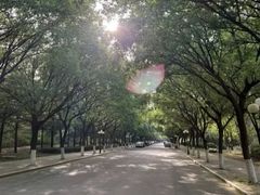 -山东理工大学