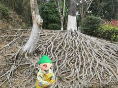 -福州大学(旗山校区)