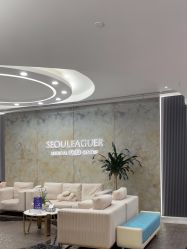 -上海首尔丽格医疗美容医院