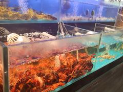 -苏格里岛自助烤肉海鲜火锅(成都金牛万达店)