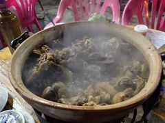 -霞姐屯昌枫木香草鸭店(海螺店)