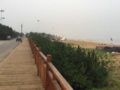 -日照海滨国家森林公园