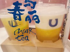 -春丽小马(济南恒隆广场店)