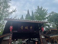 -青城甲(青城山店)