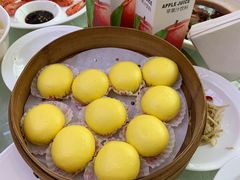 -扬浦大酒楼(平顶山路店)