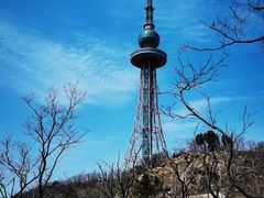 -青岛电视塔