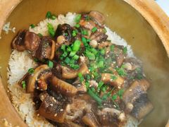 -红星光发煲仔饭(文海店)