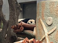 -石排湾郊野公园