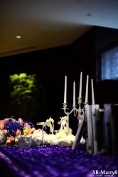 -上海外高桥喜来登酒店·宴会厅