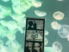 -大连老虎滩海洋公园