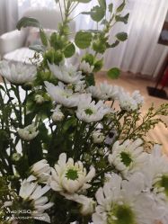 -HEYAN荷妍专业脱毛连锁机构