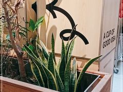 -Seesaw Coffee(上海太阳宫K46店)