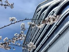 -香山湖南京菜(奥体店)