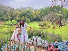 -云溪植物园