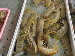 -南沙十九涌渔人码头-南门