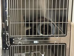 -乐琪宠物医院·犬猫专科·骨外科·急重症