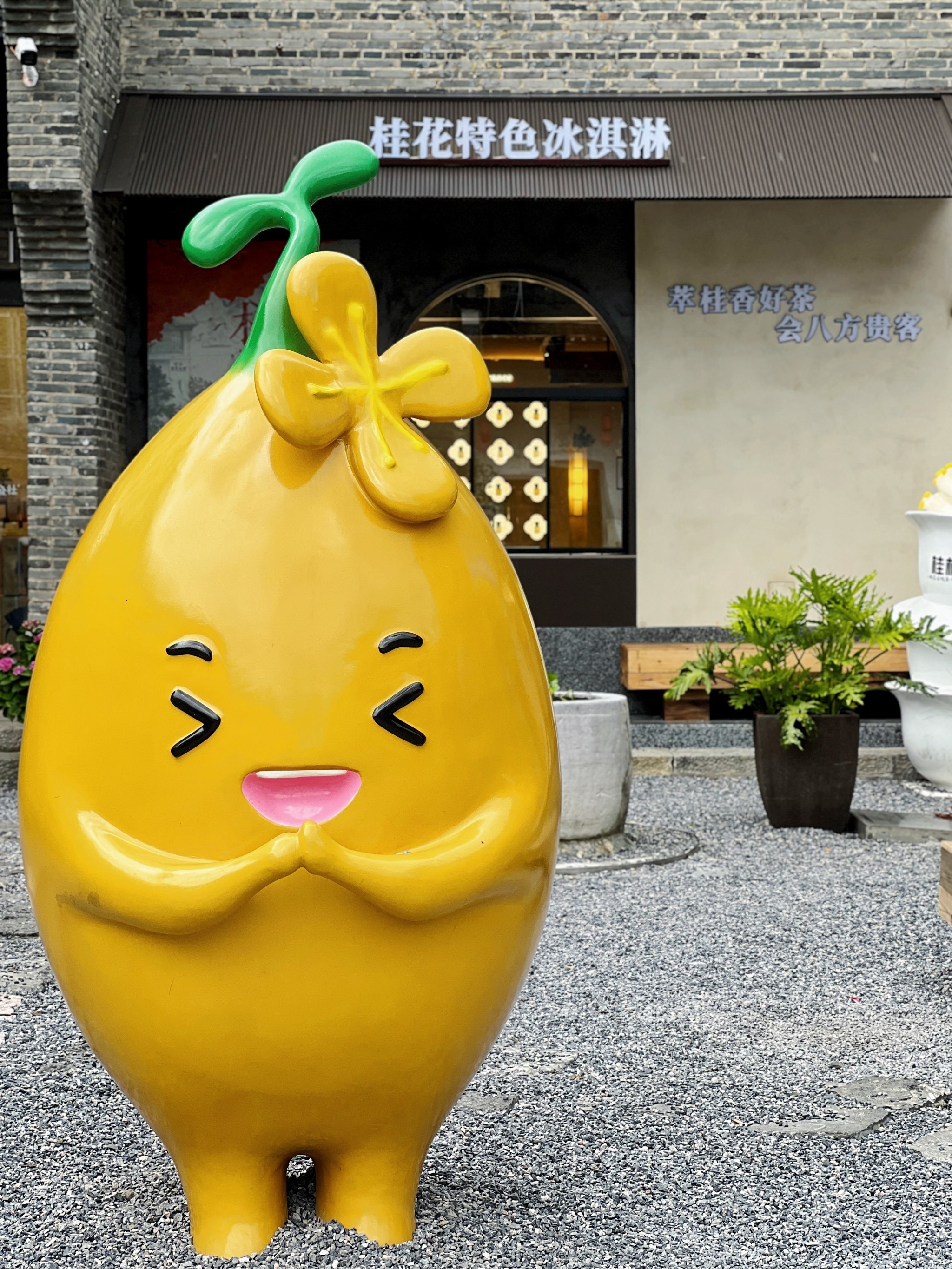 桂花公社真的绝绝子!