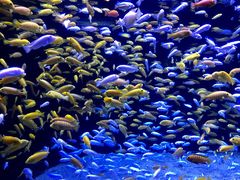 -成都浩海立方海洋公园