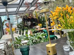 -PlantsEatery·植物食堂(REX春熙店)
