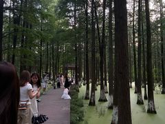 -艾溪湖湿地公园
