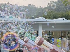 -东南花都花博园