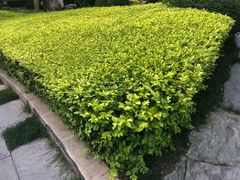 -北京西国贸大酒店