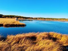 -塞罕坝国家级自然保护区