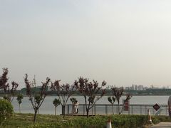-郑东新区龙湖公共艺术中心