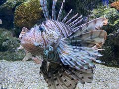 -大连老虎滩海洋公园