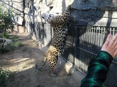 -石家庄市动物园